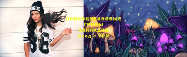 соль ск Елабуга
