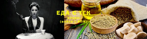 МДПВ Ельня