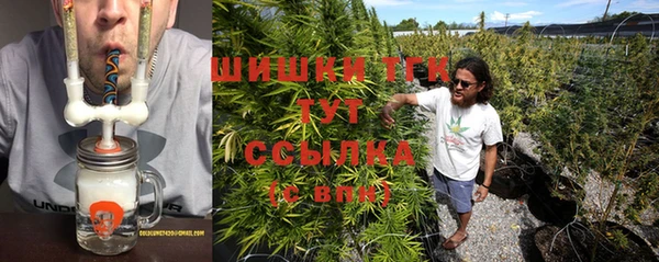 СК Елизово