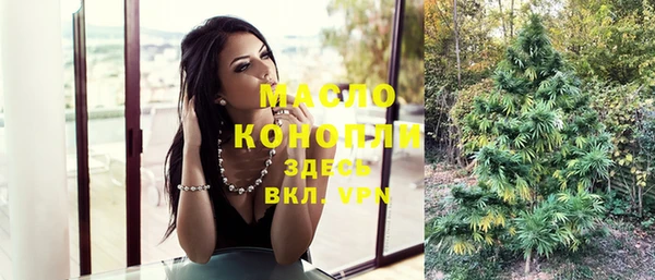 МДПВ Ельня