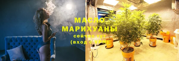 МДПВ Ельня