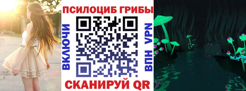 Купить  Пудож  Галлюциногенные грибы Psilocybe 